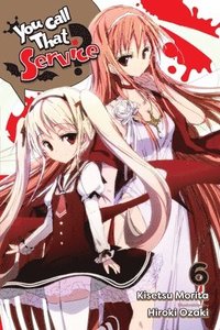 bokomslag You Call That Service?, Vol. 6 (light novel)