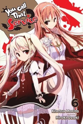 Hiroki Ozaki, Kisetsu Morita - You Call That Service?, Vol. 6 (light novel), Häftad