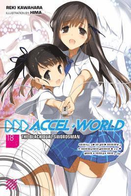 bokomslag Accel World, Vol. 18 (light novel)