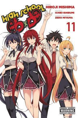 bokomslag High School DxD, Vol. 11