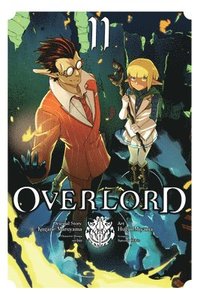bokomslag Overlord, Vol. 11 (manga)