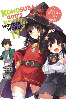 bokomslag Konosuba: God's Blessing on This Wonderful World!, Vol. 11 (light novel)