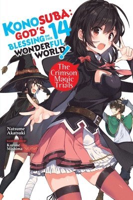 bokomslag Konosuba: God's Blessing on This Wonderful World!, Vol. 14 (light novel)