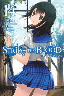 bokomslag Strike the Blood, Vol. 14 (light novel)