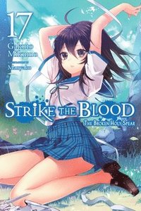 bokomslag Strike the Blood, Vol. 17 (light novel)