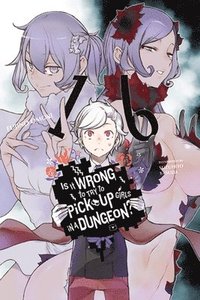 bokomslag Is It Wrong to Try to Pick Up Girls in a Dungeon?, Vol. 16 (light novel)