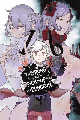 Fujino Omori, Paul Starr, Suzuhito Yasuda - Is It Wrong to Try to Pick Up Girls in a Dungeon?, Vol. 16 (light novel), Häftad