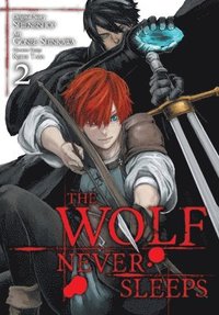 bokomslag The Wolf Never Sleeps, Vol. 2