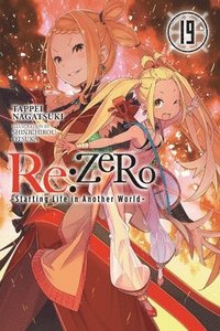 bokomslag Re:ZERO -Starting Life in Another World-, Vol. 19 (light novel)