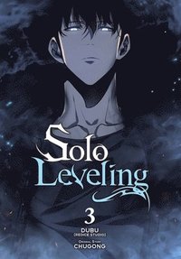 bokomslag Solo Leveling, Vol. 3 (Manga)