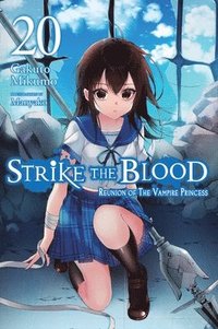 bokomslag Strike the Blood, Vol. 20 (light novel)