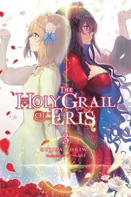 bokomslag The Holy Grail of Eris, Vol. 3 (light novel)