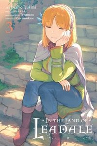 bokomslag In the Land of Leadale, Vol. 3 (manga)