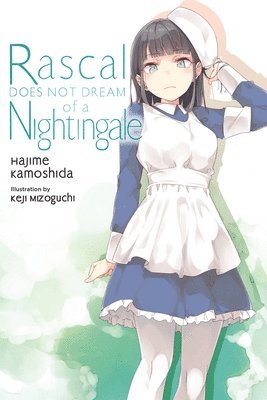 bokomslag Rascal Does Not Dream of a Nightingale (light novel)