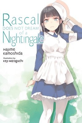 Rascal Does Not Dream, Vol. 11 (light novel) 1