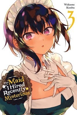 Maid I Hired Recently Is Mysterious, Vol. 3