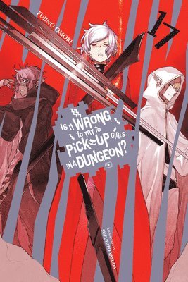 Dale DeLucia, Fujino Omori, Suzuhito Yasuda - Is It Wrong to Try to Pick Up Girls in a Dungeon?, Vol. 17 (light novel), Häftad