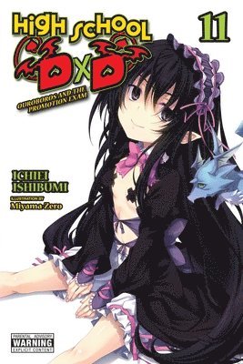 Haydn Trowell, Ichiei Ishibumi, Miyama-Zero Miyama-Zero - High School DxD, Vol. 11 (light novel), Häftad