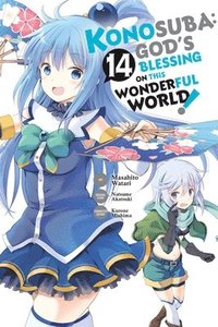 bokomslag Konosuba: God's Blessing on This Wonderful World!, Vol. 14