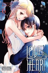 bokomslag Love and Heart, Vol. 6