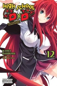 bokomslag High School DxD, Vol. 12 (light novel)