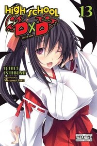 bokomslag High School DxD, Vol. 13 (light novel)