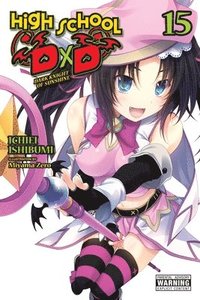 bokomslag High School DxD, Vol. 15 (light novel)