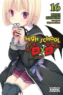 bokomslag High School DxD, Vol. 16 (light novel)