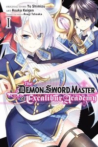 bokomslag The Demon Sword Master of Excalibur Academy, Vol. 1 (manga)