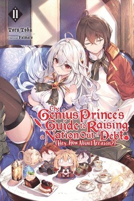 bokomslag The Genius Prince's Guide to Raising a Nation Out of Debt (Hey, How About Treason?), Vol. 11 (light novel)