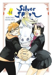 bokomslag Silver Spoon, Vol. 14