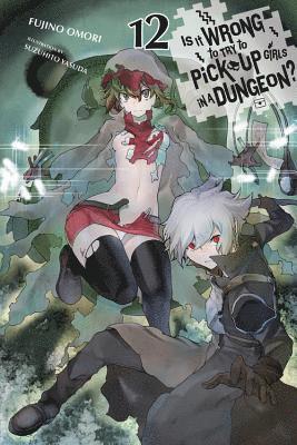 Fujino Omori, Suzuhito Yasuda - Is It Wrong to Try to Pick Up Girls in a Dungeon?, Vol. 12 (light novel), Häftad