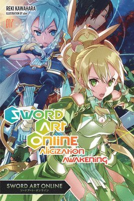 bokomslag Sword Art Online, Vol. 17 (light novel)