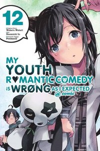 bokomslag My Youth Romantic Comedy Is Wrong, As I Expected @ comic, Vol. 12 (manga)