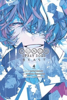 bokomslag Bungo Stray Dogs: Beast, Vol. 4