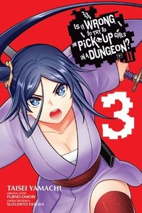 bokomslag Is It Wrong to Try to Pick Up Girls in a Dungeon? II, Vol. 3 (manga)