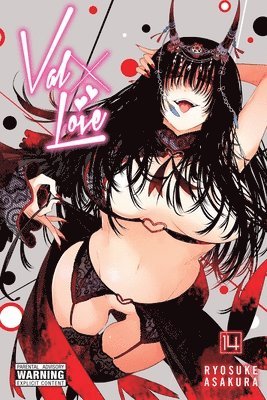 bokomslag Val x Love, Vol. 14