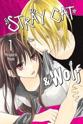 bokomslag Stray Cat & Wolf, Vol. 1