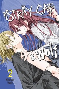 bokomslag Stray Cat & Wolf, Vol. 2