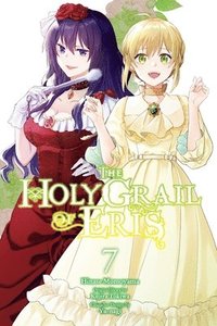 bokomslag The Holy Grail of Eris, Vol. 7 (manga)