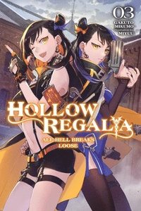 bokomslag Hollow Regalia, Vol. 3 (light novel)