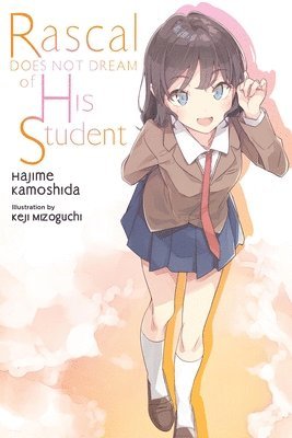 bokomslag Rascal Does Not Dream of His Student (light novel)