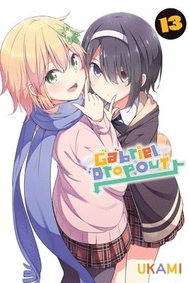 bokomslag Gabriel Dropout, Vol. 13