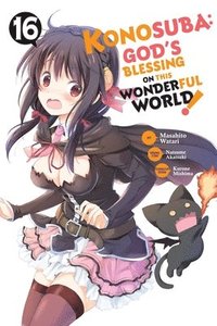 bokomslag Konosuba: God's Blessing on This Wonderful World!, Vol. 16 (manga)