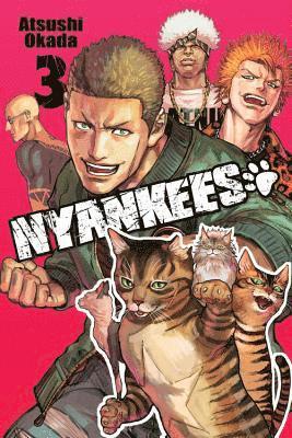 Nyankees, Vol. 3 1