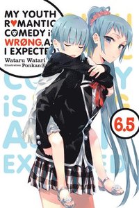 bokomslag My Youth Romantic Comedy Is Wrong, As I Expected, Vol. 6.5 (light novel)