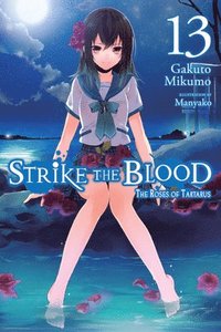 bokomslag Strike the Blood, Vol. 13 (light novel)