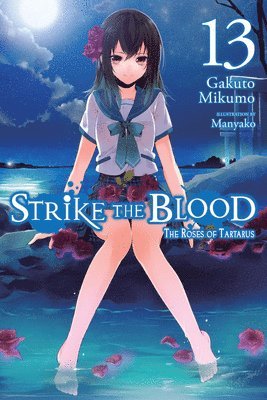 Strike the Blood, Vol. 13 (light novel) 1