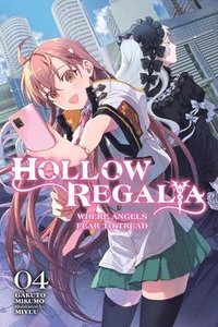 bokomslag Hollow Regalia, Vol. 4 (light novel)