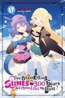 Benio Benio, Kisetsu Morita, Tristan Hill - I've Been Killing Slimes for 300 Years and Maxed Out My Level, Vol. 17, Häftad